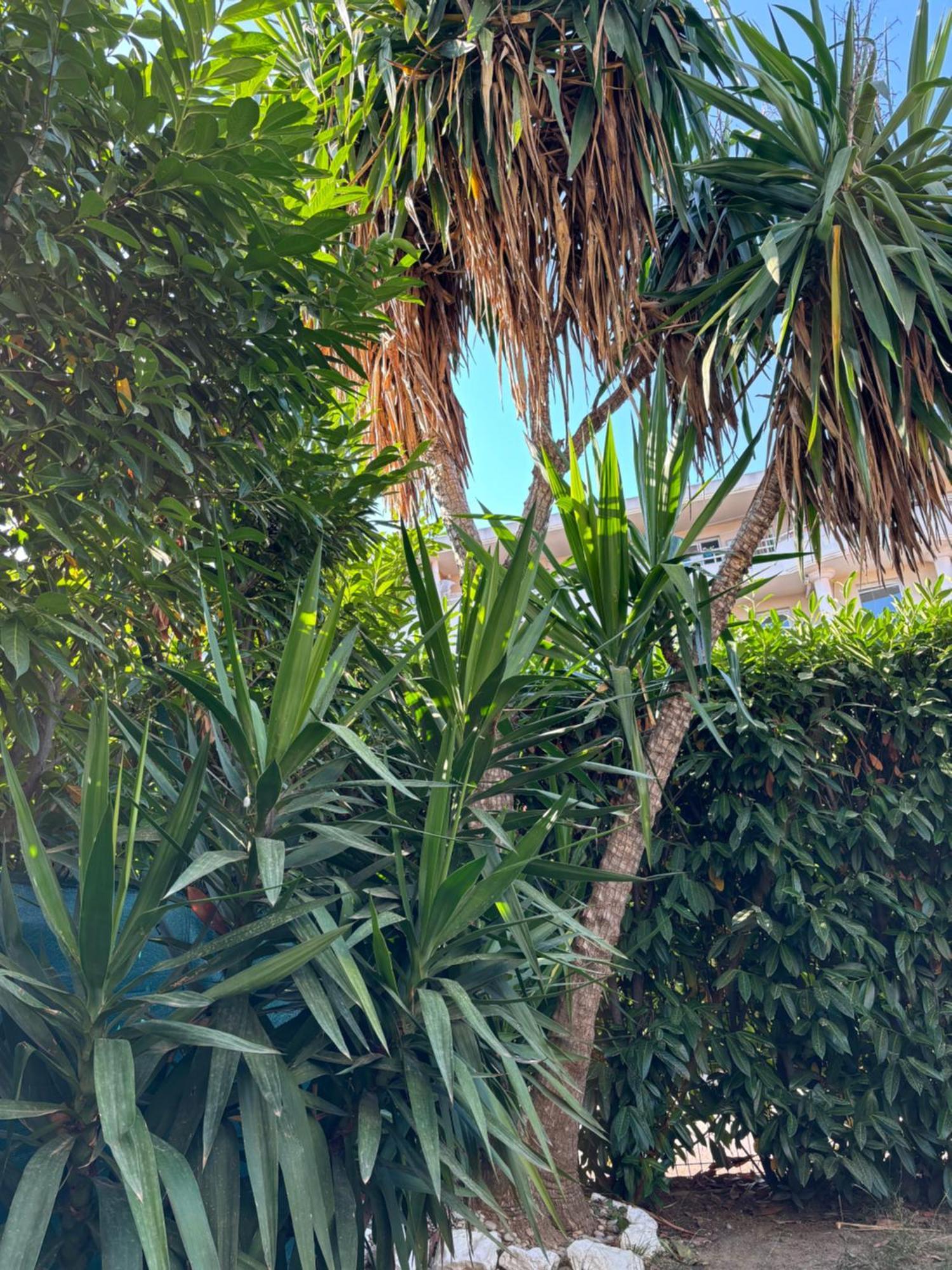 Beachside Apartment With Pool & Garden In Juan Les Pins Антиб Экстерьер фото